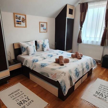 Smiley Apartment Sibiu Bagian luar foto