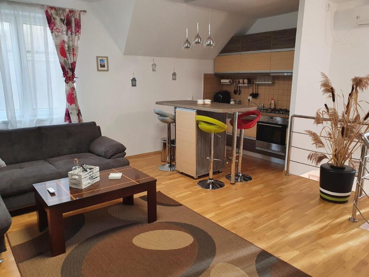 Smiley Apartment Sibiu Bagian luar foto