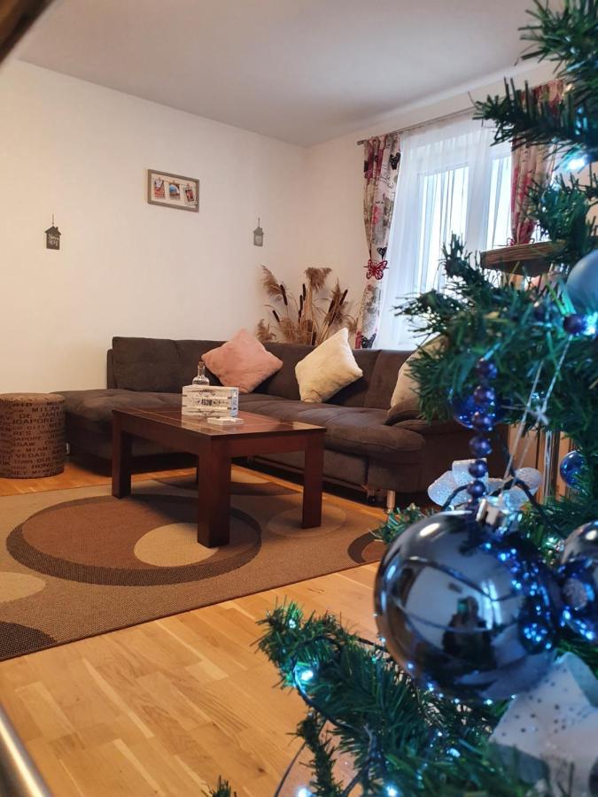 Smiley Apartment Sibiu Bagian luar foto