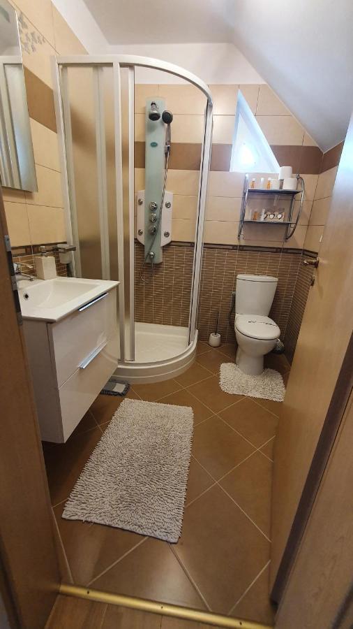 Smiley Apartment Sibiu Bagian luar foto