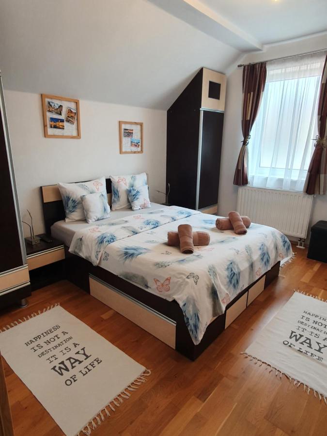 Smiley Apartment Sibiu Bagian luar foto