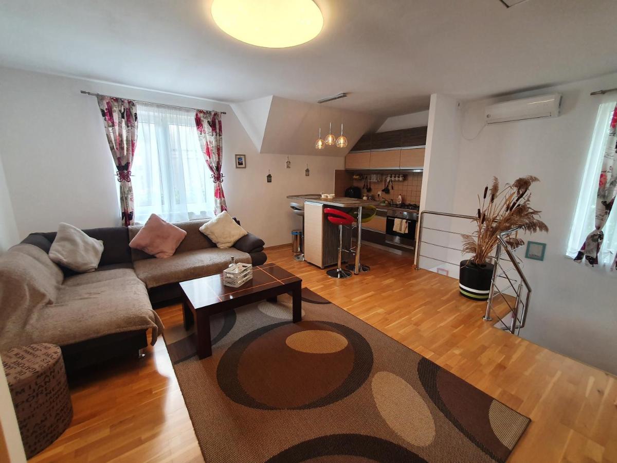 Smiley Apartment Sibiu Bagian luar foto