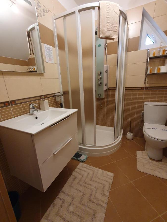 Smiley Apartment Sibiu Bagian luar foto