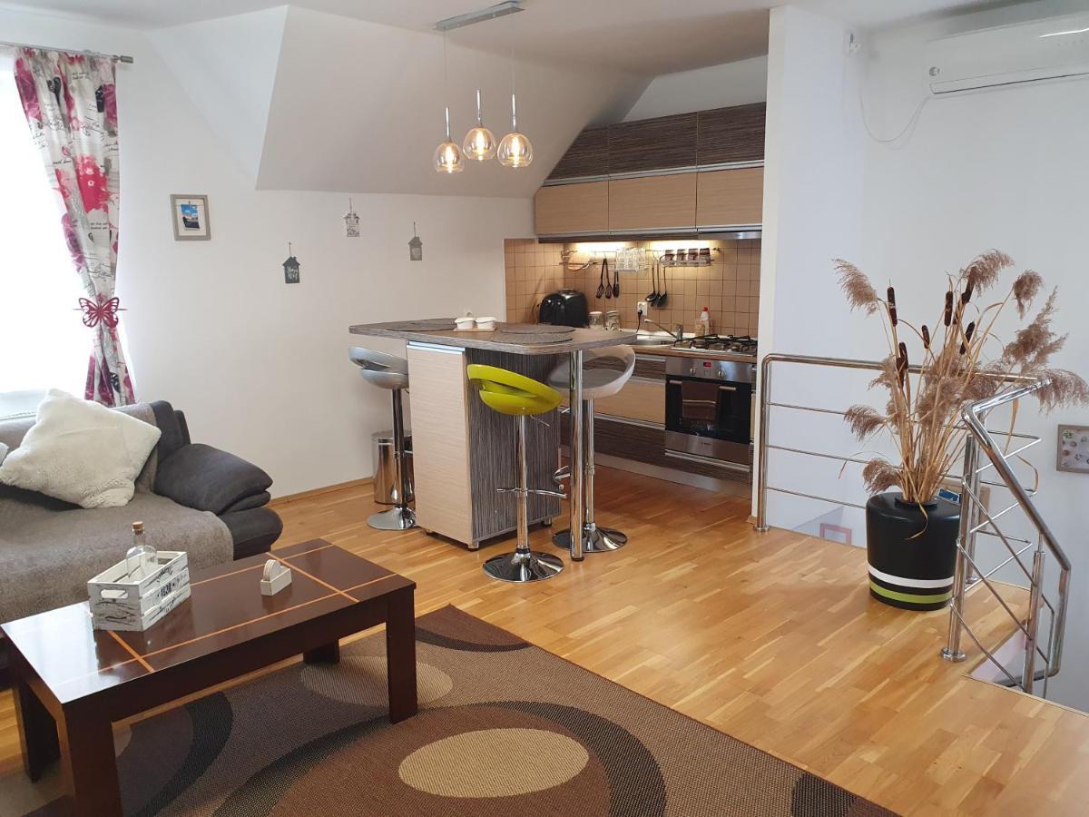Smiley Apartment Sibiu Bagian luar foto