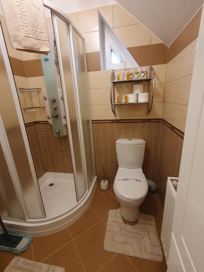 Smiley Apartment Sibiu Bagian luar foto