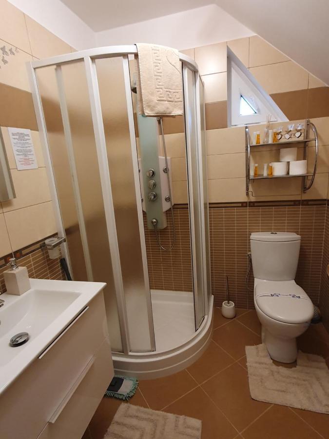 Smiley Apartment Sibiu Bagian luar foto