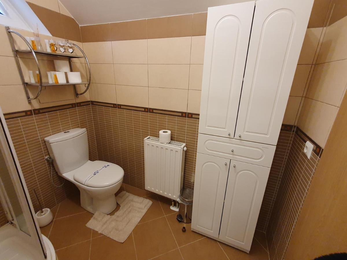 Smiley Apartment Sibiu Bagian luar foto
