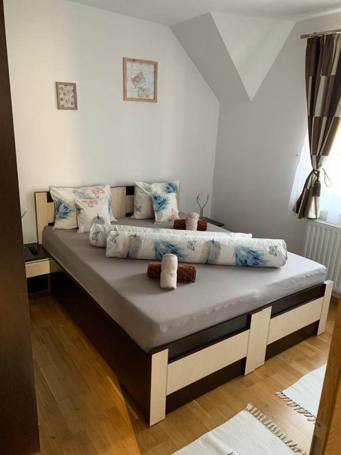 Smiley Apartment Sibiu Bagian luar foto